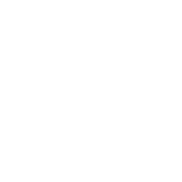 ico-blanco-seguridad.png